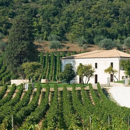 San Calisto Camere Con Vigna Popoli Exteriör bild